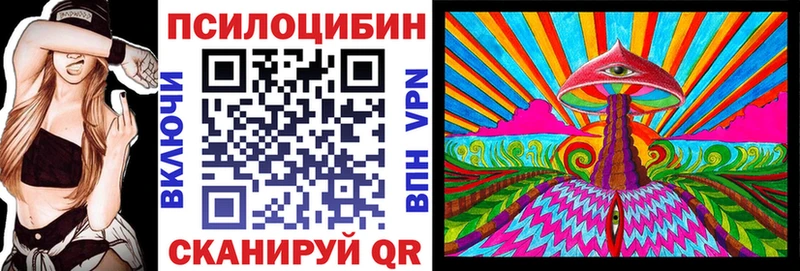 Псилоцибиновые грибы Psilocybe  ссылка на мегу зеркало  маркетплейс наркотические препараты  Берёзовский 